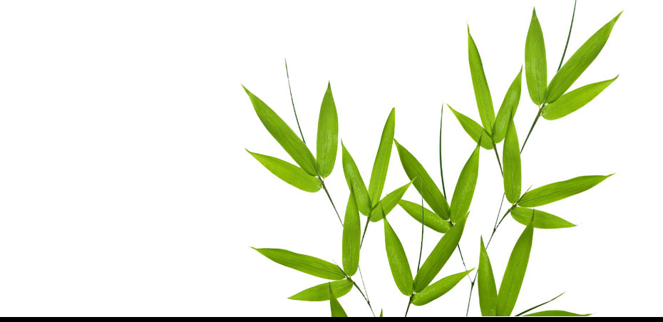 Rejuvance Face Massage